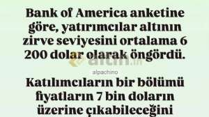 alpachino, 17.2.2026 21:20:36 Tarihli Grafik