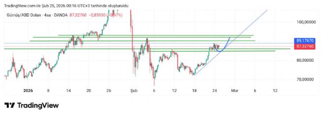Hayalet_adam, 25.2.2026 00:18:14 Tarihli Grafik