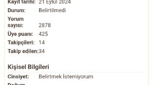 Hayalet_adam, 4.6.2026 14:17:54 Tarihli Grafik