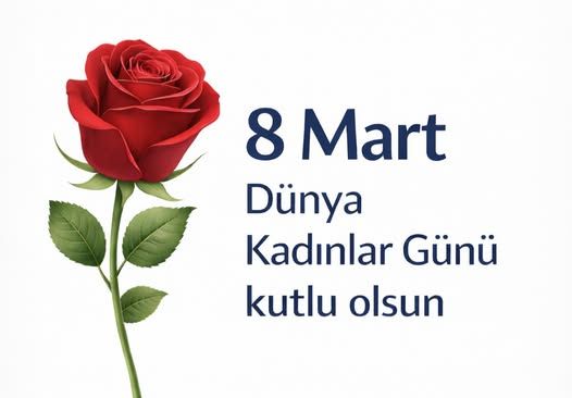 Y�n_Kuzeydo�u, 8.3.2026 11:59:30 Tarihli Grafik