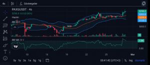 Y�n_Kuzeydo�u, 28.2.2026 03:45:34 Tarihli Grafik