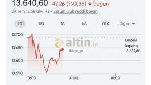 Silver_gr, 29.7.2026 13:18:12 Tarihli Grafik