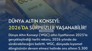 zorgundostu, 17.12.2025 21:57:36 Tarihli Grafik