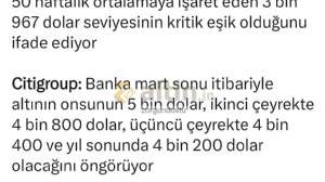 zorgundostu, 28.3.2026 22:13:03 Tarihli Grafik