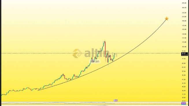 karan, 24.2.2026 13:54:16 Tarihli Grafik
