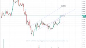 tallaz4478, 7.2.2019 11:07:53 Tarihli Grafik